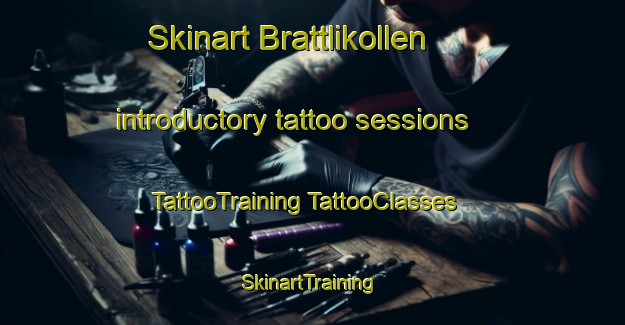 Skinart Brattlikollen introductory tattoo sessions | #TattooTraining #TattooClasses #SkinartTraining-Norway