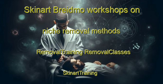 Skinart Breidmo workshops on niche removal methods | #RemovalTraining #RemovalClasses #SkinartTraining-Norway