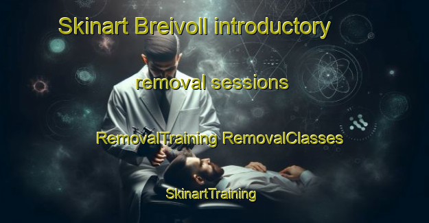 Skinart Breivoll introductory removal sessions | #RemovalTraining #RemovalClasses #SkinartTraining-Norway