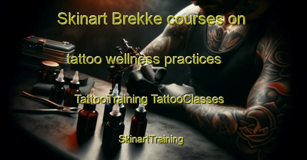 Skinart Brekke courses on tattoo wellness practices | #TattooTraining #TattooClasses #SkinartTraining-Norway