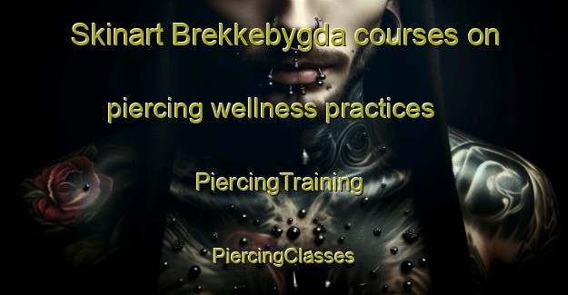 Skinart Brekkebygda courses on piercing wellness practices | #PiercingTraining #PiercingClasses #SkinartTraining-Norway