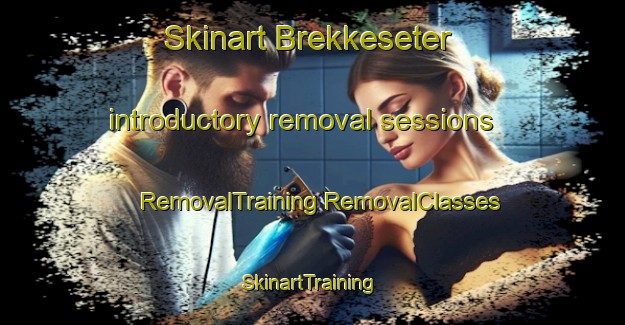 Skinart Brekkeseter introductory removal sessions | #RemovalTraining #RemovalClasses #SkinartTraining-Norway