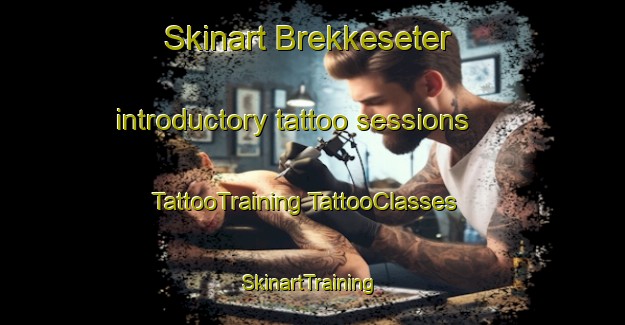 Skinart Brekkeseter introductory tattoo sessions | #TattooTraining #TattooClasses #SkinartTraining-Norway