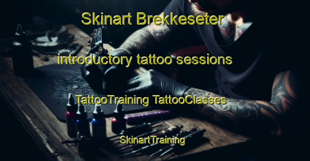 Skinart Brekkeseter introductory tattoo sessions | #TattooTraining #TattooClasses #SkinartTraining-Norway