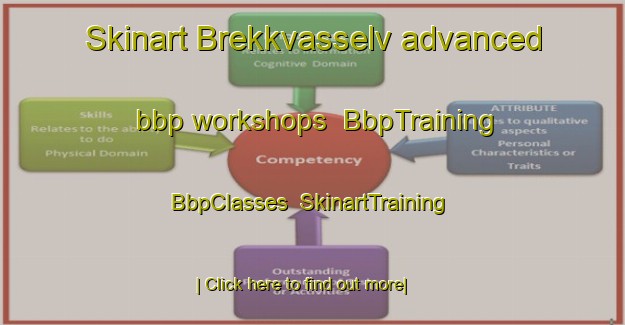 Skinart Brekkvasselv advanced bbp workshops | BbpTraining | BbpClasses | SkinartTraining-Norway