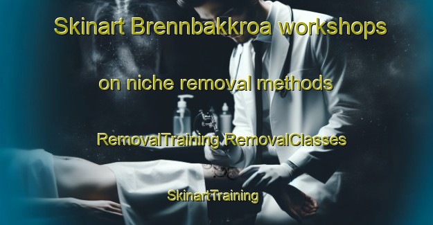 Skinart Brennbakkroa workshops on niche removal methods | #RemovalTraining #RemovalClasses #SkinartTraining-Norway