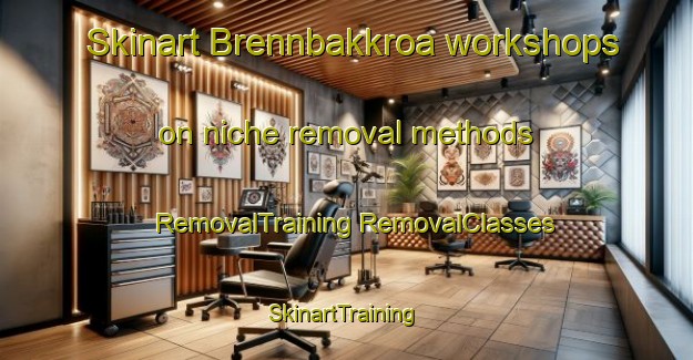 Skinart Brennbakkroa workshops on niche removal methods | #RemovalTraining #RemovalClasses #SkinartTraining-Norway