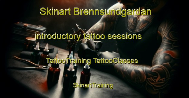 Skinart Brennsundgardan introductory tattoo sessions | #TattooTraining #TattooClasses #SkinartTraining-Norway