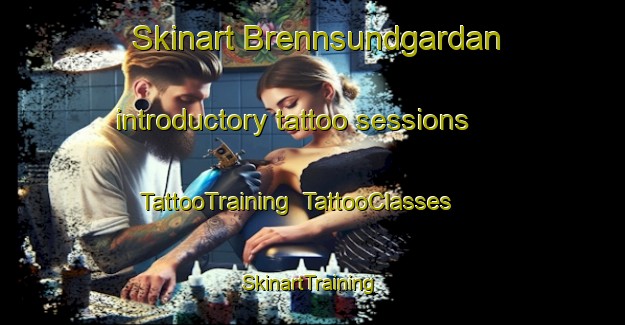 Skinart Brennsundgardan introductory tattoo sessions | TattooTraining | TattooClasses | SkinartTraining-Norway