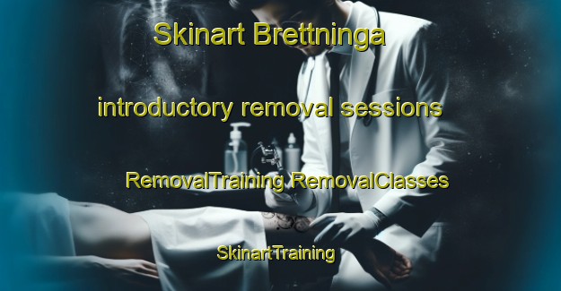 Skinart Brettninga introductory removal sessions | #RemovalTraining #RemovalClasses #SkinartTraining-Norway