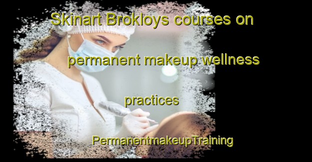 Skinart Brokloys courses on permanent makeup wellness practices | #PermanentmakeupTraining #PermanentmakeupClasses #SkinartTraining-Norway