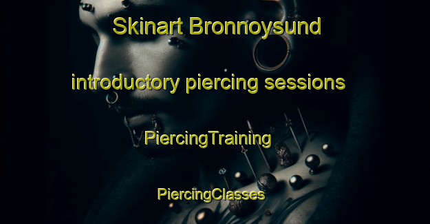 Skinart Bronnoysund introductory piercing sessions | PiercingTraining | PiercingClasses | SkinartTraining-Norway