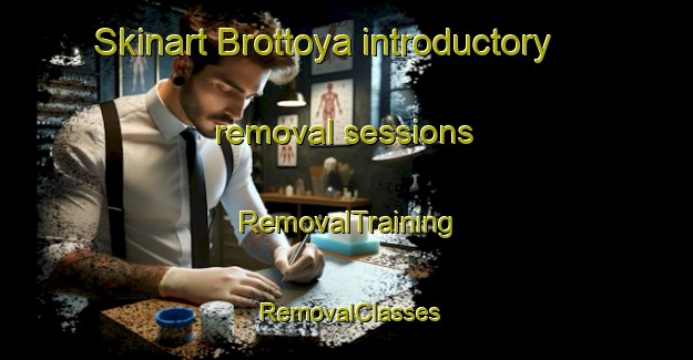 Skinart Brottoya introductory removal sessions | RemovalTraining | RemovalClasses | SkinartTraining-Norway