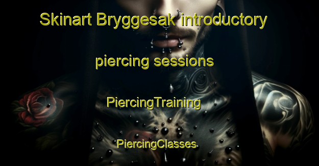 Skinart Bryggesak introductory piercing sessions | PiercingTraining | PiercingClasses | SkinartTraining-Norway