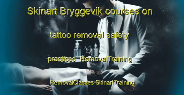 Skinart Bryggevik courses on tattoo removal safety practices | #RemovalTraining #RemovalClasses #SkinartTraining-Norway