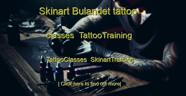 Skinart Bulandet tattoo classes | TattooTraining | TattooClasses | SkinartTraining-Norway