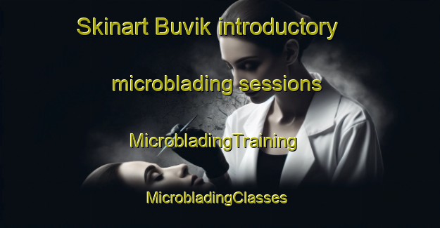 Skinart Buvik introductory microblading sessions | MicrobladingTraining | MicrobladingClasses | SkinartTraining-Norway