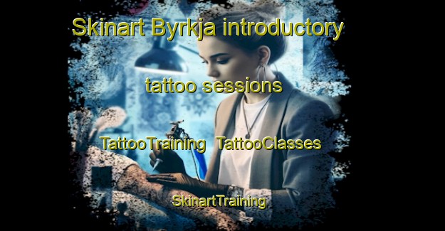 Skinart Byrkja introductory tattoo sessions | TattooTraining | TattooClasses | SkinartTraining-Norway