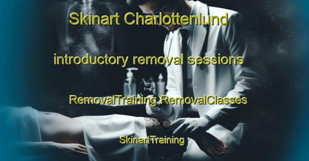 Skinart Charlottenlund introductory removal sessions | #RemovalTraining #RemovalClasses #SkinartTraining-Norway