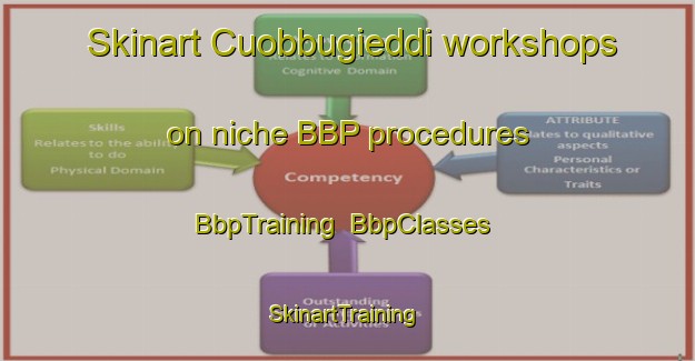 Skinart Cuobbugieddi workshops on niche BBP procedures | BbpTraining | BbpClasses | SkinartTraining-Norway