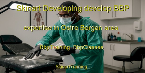 Skinart Developing develop BBP expertise in Ostre Bergan area | BbpTraining | BbpClasses | SkinartTraining-Norway