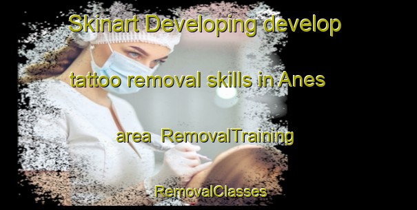 Skinart Developing develop tattoo removal skills in Anes area | RemovalTraining | RemovalClasses | SkinartTraining-Norway