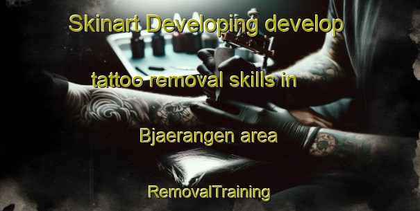 Skinart Developing develop tattoo removal skills in Bjaerangen area | RemovalTraining | RemovalClasses | SkinartTraining-Norway
