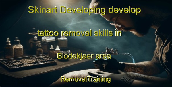 Skinart Developing develop tattoo removal skills in Blodekjaer area | RemovalTraining | RemovalClasses | SkinartTraining-Norway