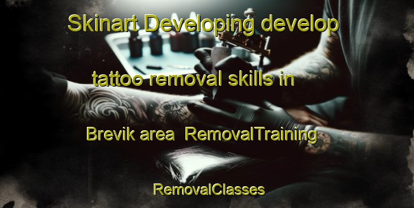 Skinart Developing develop tattoo removal skills in Brevik area | RemovalTraining | RemovalClasses | SkinartTraining-Norway