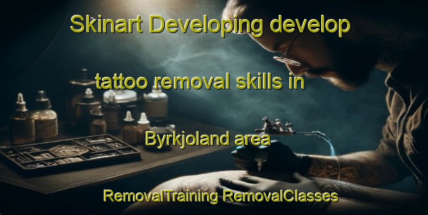 Skinart Developing develop tattoo removal skills in Byrkjoland area | #RemovalTraining #RemovalClasses #SkinartTraining-Norway