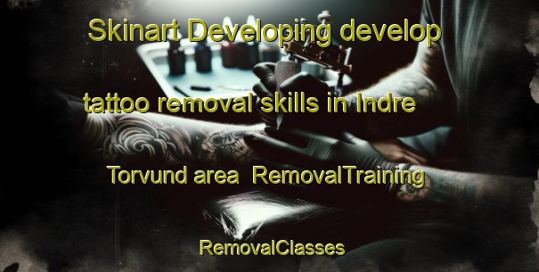 Skinart Developing develop tattoo removal skills in Indre Torvund area | RemovalTraining | RemovalClasses | SkinartTraining-Norway