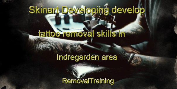 Skinart Developing develop tattoo removal skills in Indregarden area | RemovalTraining | RemovalClasses | SkinartTraining-Norway