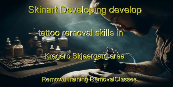 Skinart Developing develop tattoo removal skills in Kragero Skjaergard area | #RemovalTraining #RemovalClasses #SkinartTraining-Norway