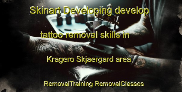 Skinart Developing develop tattoo removal skills in Kragero Skjaergard area | #RemovalTraining #RemovalClasses #SkinartTraining-Norway