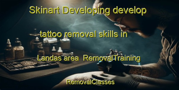 Skinart Developing develop tattoo removal skills in Landas area | RemovalTraining | RemovalClasses | SkinartTraining-Norway