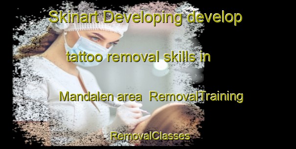 Skinart Developing develop tattoo removal skills in Mandalen area | RemovalTraining | RemovalClasses | SkinartTraining-Norway