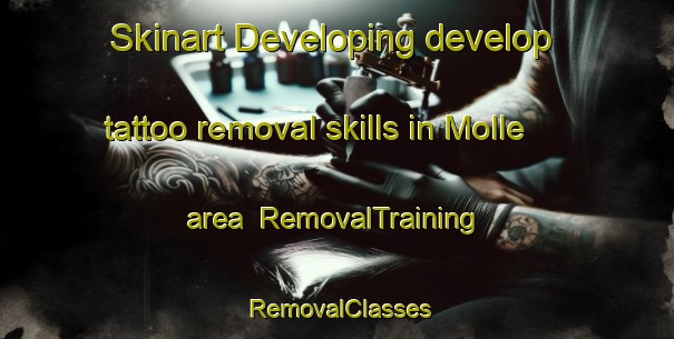Skinart Developing develop tattoo removal skills in Molle area | RemovalTraining | RemovalClasses | SkinartTraining-Norway