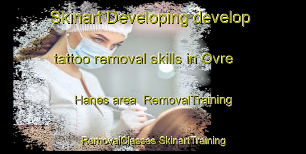 Skinart Developing develop tattoo removal skills in Ovre Hanes area | #RemovalTraining #RemovalClasses #SkinartTraining-Norway