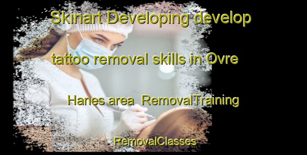 Skinart Developing develop tattoo removal skills in Ovre Hanes area | RemovalTraining | RemovalClasses | SkinartTraining-Norway