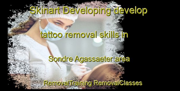 Skinart Developing develop tattoo removal skills in Sondre Agassaeter area | #RemovalTraining #RemovalClasses #SkinartTraining-Norway