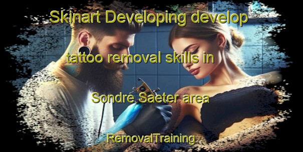 Skinart Developing develop tattoo removal skills in Sondre Saeter area | RemovalTraining | RemovalClasses | SkinartTraining-Norway