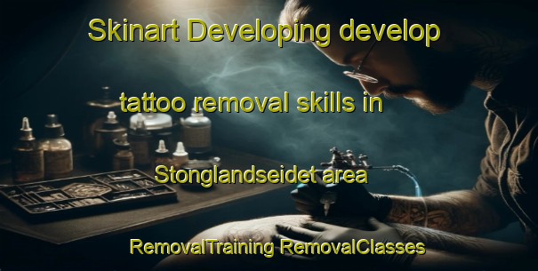 Skinart Developing develop tattoo removal skills in Stonglandseidet area | #RemovalTraining #RemovalClasses #SkinartTraining-Norway