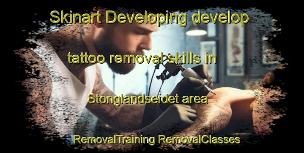 Skinart Developing develop tattoo removal skills in Stonglandseidet area | #RemovalTraining #RemovalClasses #SkinartTraining-Norway