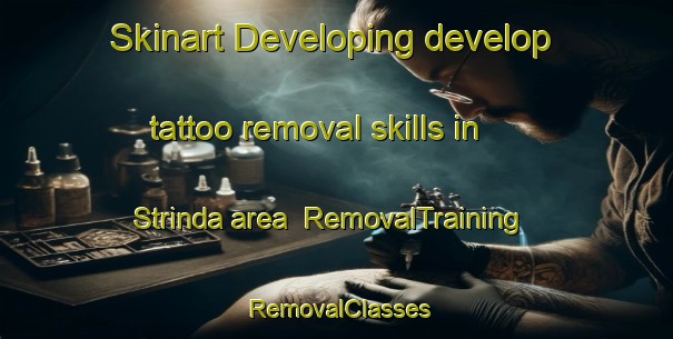 Skinart Developing develop tattoo removal skills in Strinda area | RemovalTraining | RemovalClasses | SkinartTraining-Norway