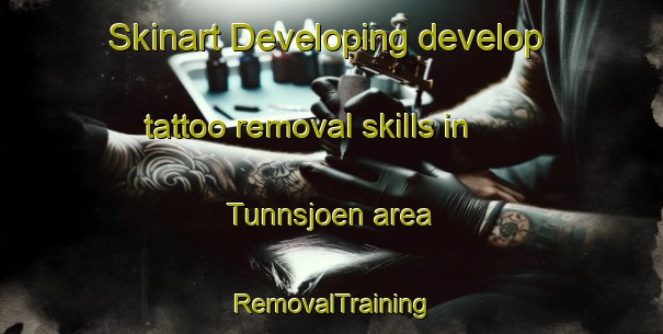 Skinart Developing develop tattoo removal skills in Tunnsjoen area | RemovalTraining | RemovalClasses | SkinartTraining-Norway