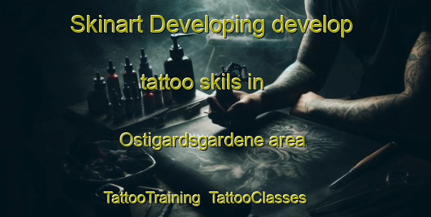 Skinart Developing develop tattoo skils in Ostigardsgardene area | TattooTraining | TattooClasses | SkinartTraining-Norway