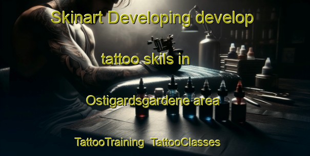 Skinart Developing develop tattoo skils in Ostigardsgardene area | TattooTraining | TattooClasses | SkinartTraining-Norway