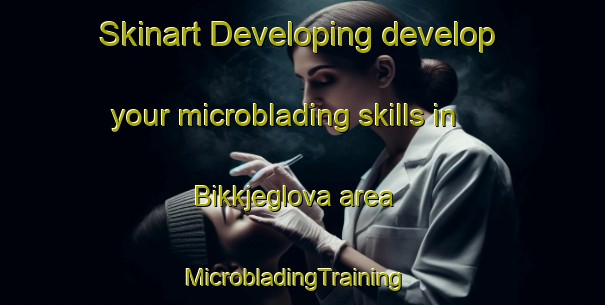 Skinart Developing develop your microblading skills in Bikkjeglova area | MicrobladingTraining | MicrobladingClasses | SkinartTraining-Norway