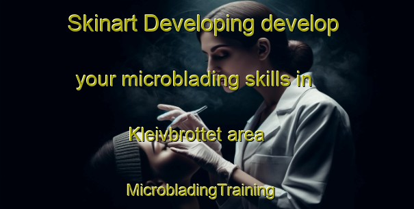 Skinart Developing develop your microblading skills in Kleivbrottet area | MicrobladingTraining | MicrobladingClasses | SkinartTraining-Norway