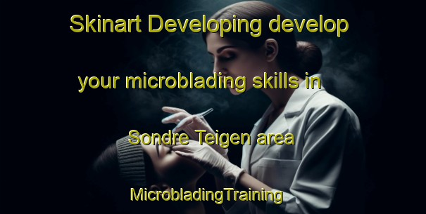 Skinart Developing develop your microblading skills in Sondre Teigen area | MicrobladingTraining | MicrobladingClasses | SkinartTraining-Norway